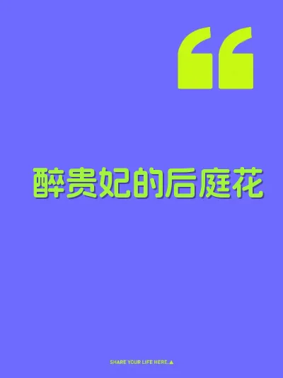 醉贵妃的后庭花