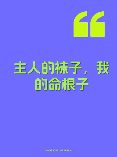 主人的袜子，我的命根子
