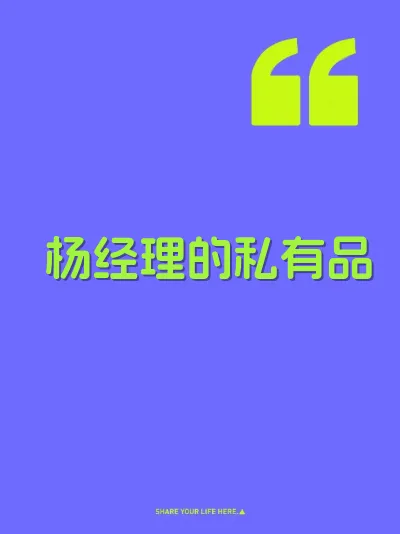 杨经理的私有品