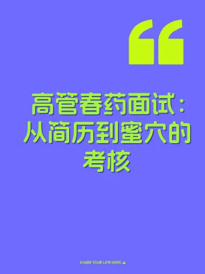 高管春药面试：从简历到蜜穴的考核