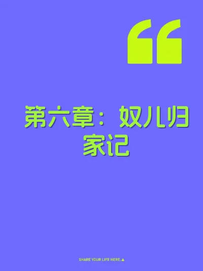 第六章：奴儿归家记