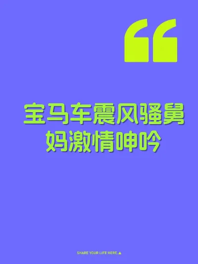 宝马车震风骚舅妈激情呻吟