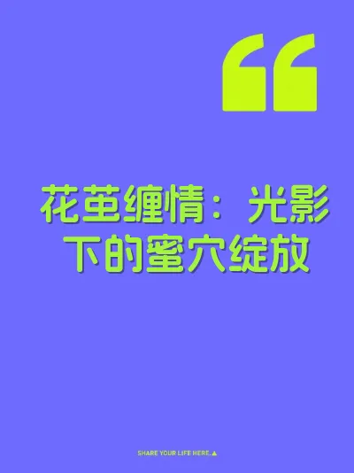 花茧缠情：光影下的蜜穴绽放