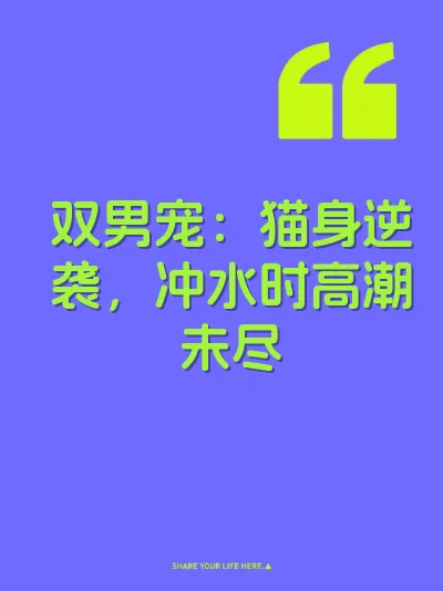 双男宠:猫身逆袭,冲水时高潮未尽