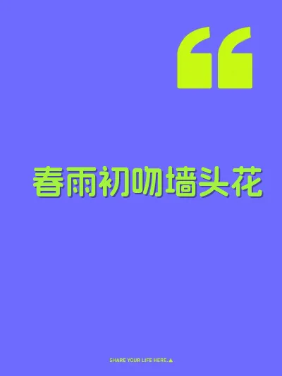 春雨初吻墙头花
