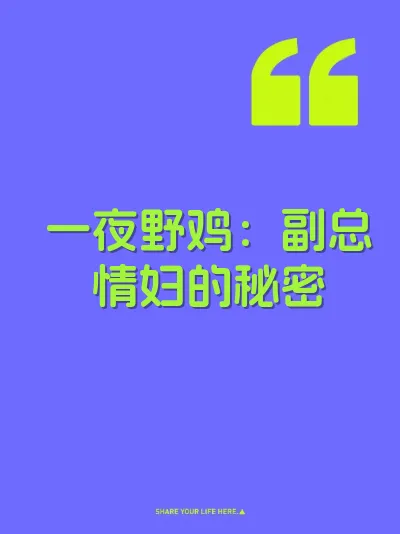 一夜野鸡：副总情妇的秘密