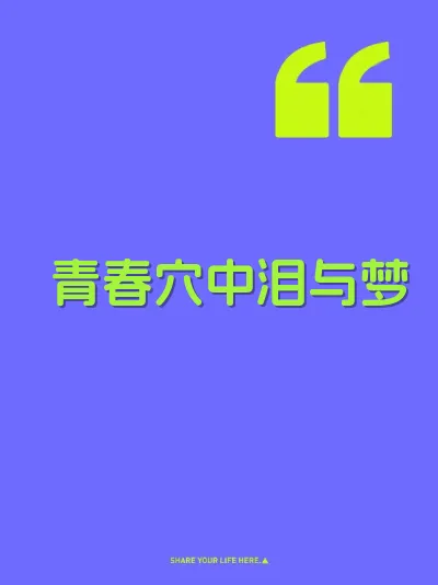 青春穴中泪与梦