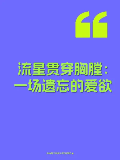 流星贯穿胸膛：一场遗忘的爱欲
