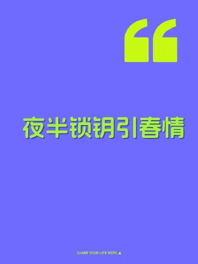 夜半锁钥引春情