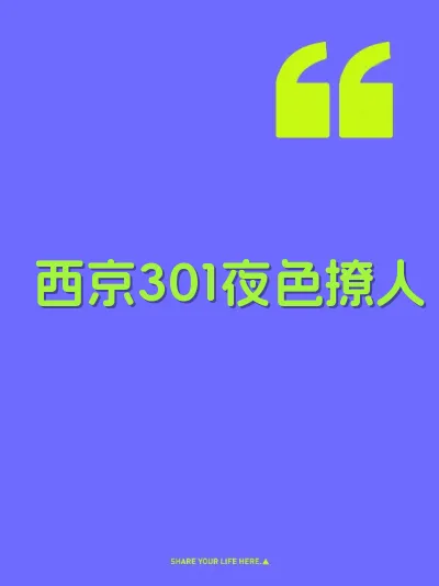 西京301夜色撩人