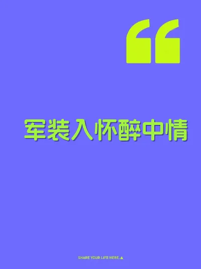 军装入怀醉中情