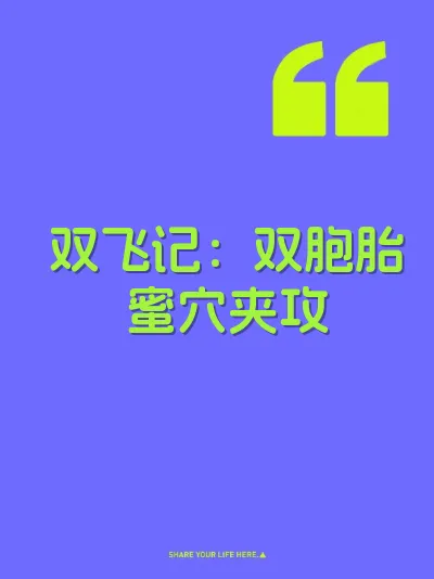 双飞记：双胞胎蜜穴夹攻
