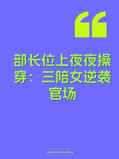 部长位上夜夜操穿：三陪女逆袭官场