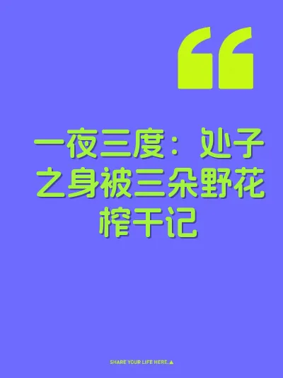 一夜三度：处子之身被三朵野花榨干记
