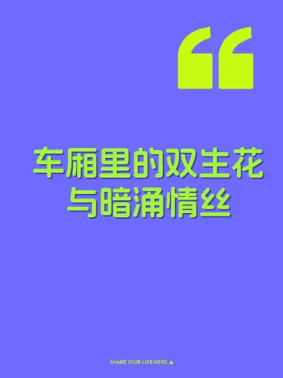车厢里的双生花与暗涌情丝