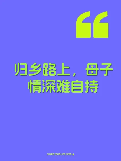 归乡路上,母子情深难自持
